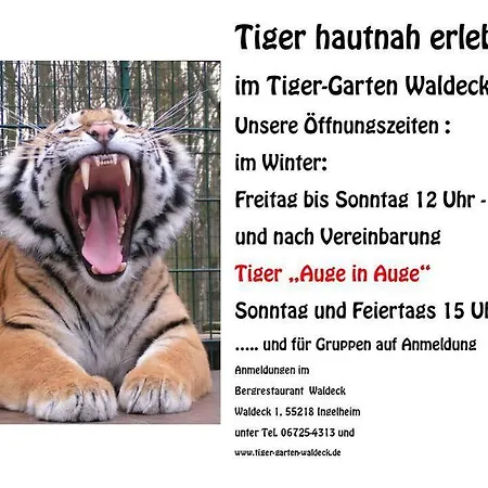 Forstgut Waldeck Pensionat 3*