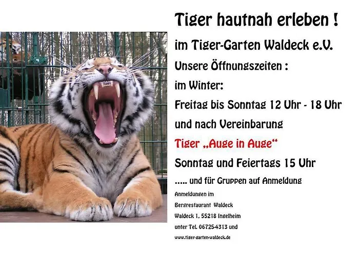 Forstgut Waldeck בית הארחה 3*